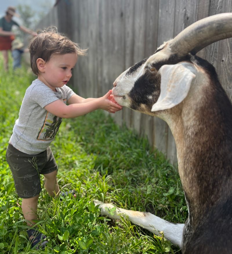 Toddlers (18 Months - 3 Years)